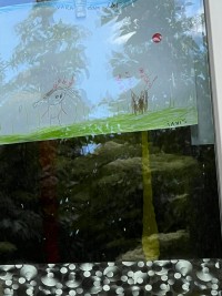 Ianis Cars Naic, 4 ani