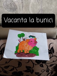 David Andrei Mecu, 3 ani