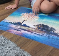 Christian Tudor, 11 ani