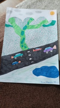 Alexandra Elena Zainea, 10 ani